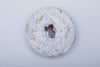 Powdered Sugar Donut